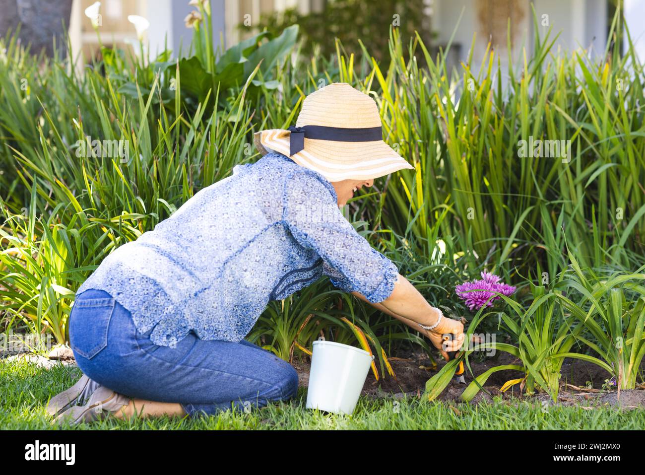 Mujer mayor caucásica plantando en jardín soleado Foto de stock