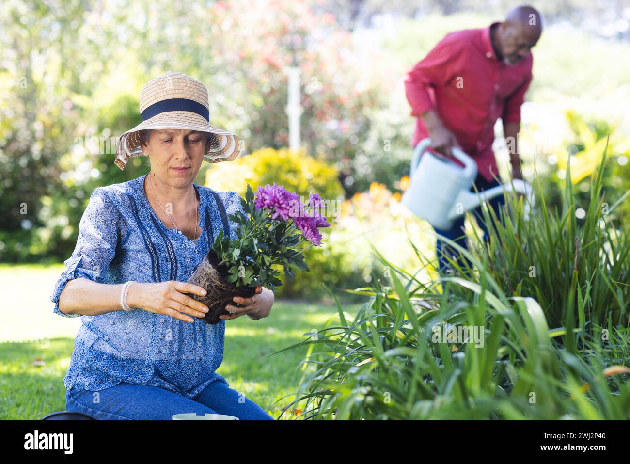 Diversa pareja senior jardinería en jardín soleado Foto de stock