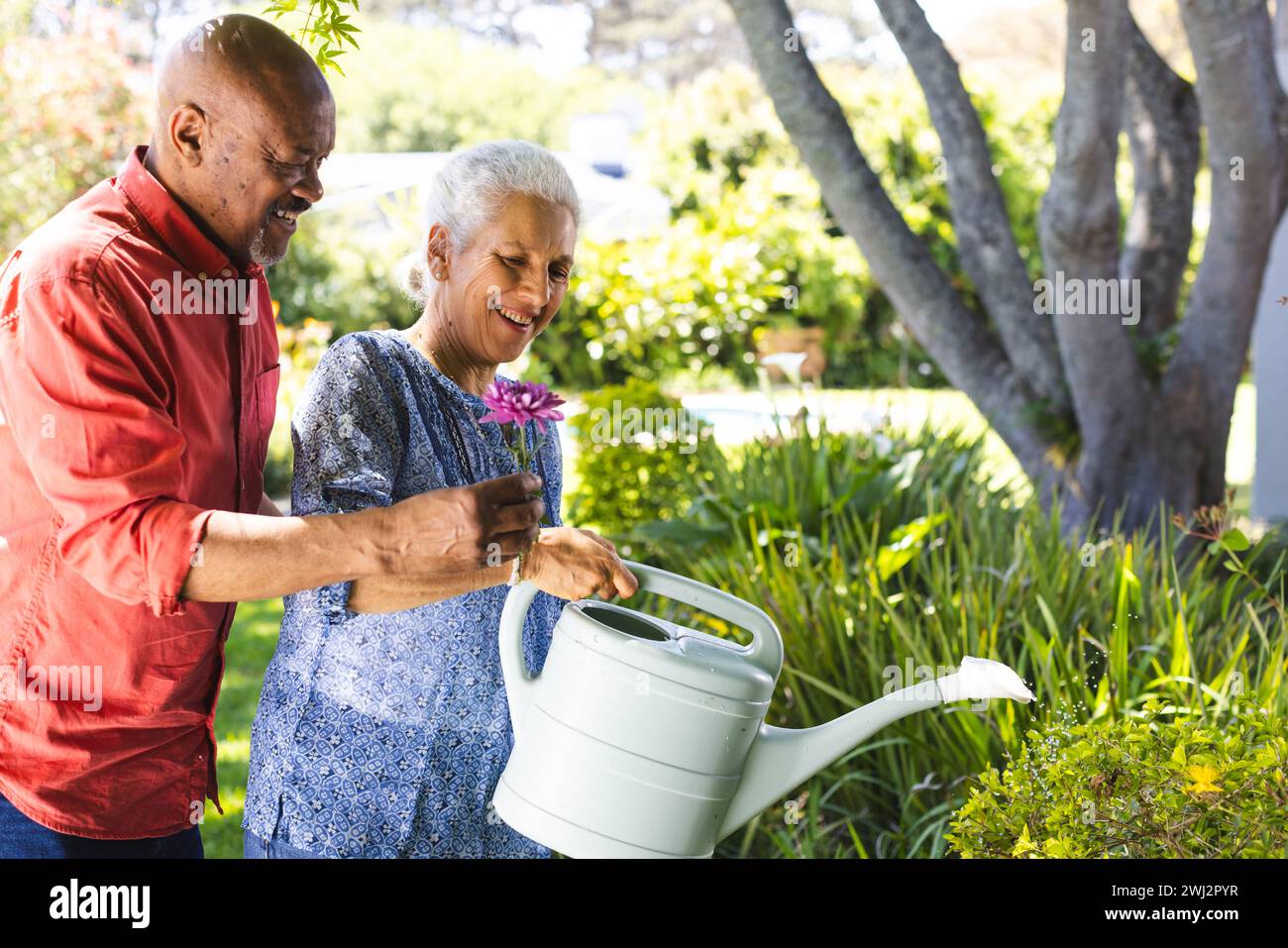 Feliz diversa pareja senior jardinería en jardín soleado Foto de stock