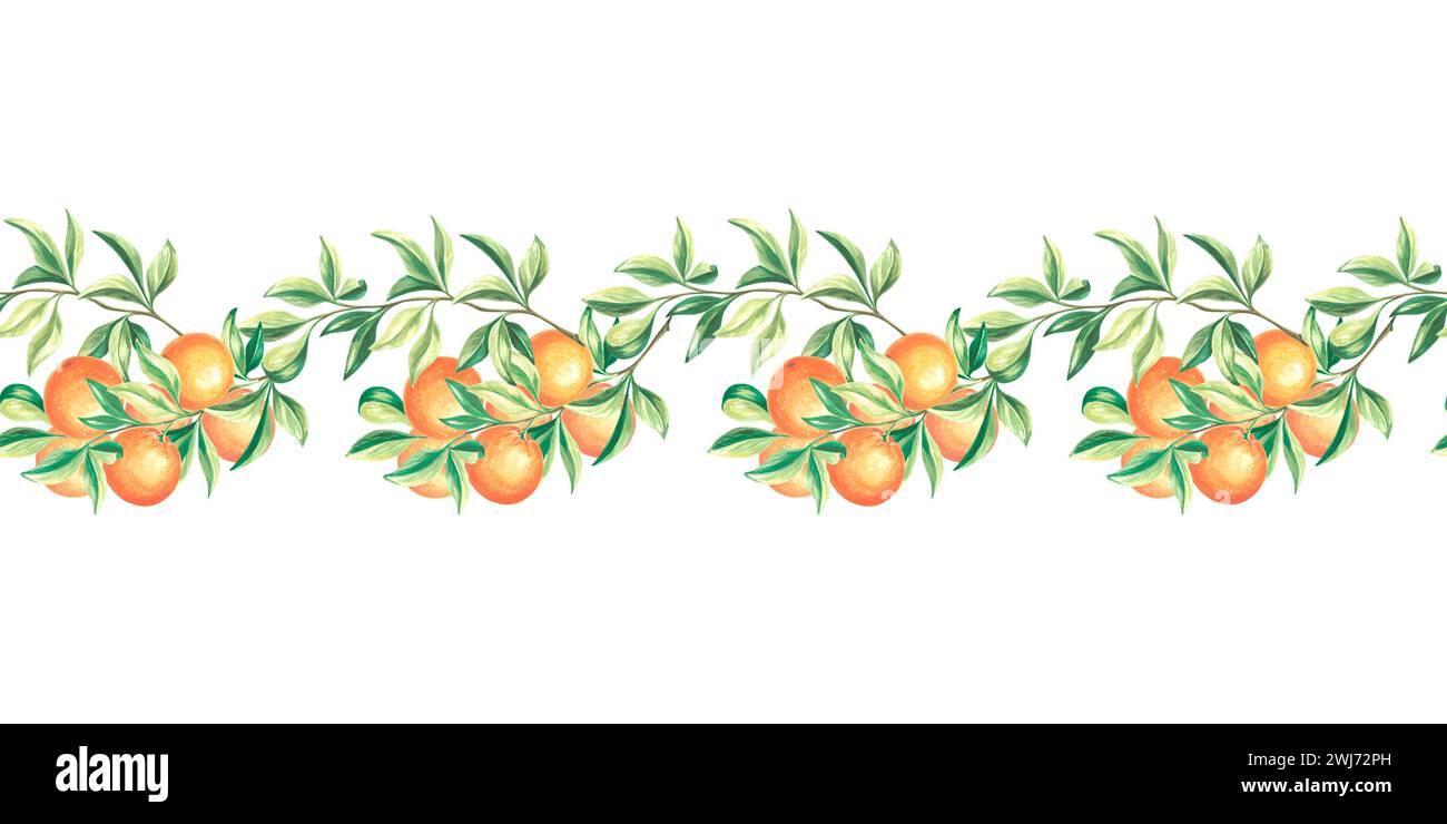 Frontera sin fisuras con naranjas y hojas. Acuarela dibujado a mano ilustración de cítricos. Plantilla de fondo con ramas de frutas plantas styliz Foto de stock