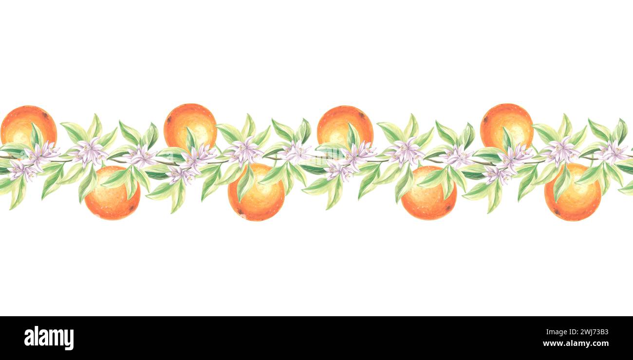 Frontera sin fisuras con naranjas, hojas y flores. Ramas florecientes de árbol de cítricos. Acuarela dibujado a mano ilustración de fondo con st floral Foto de stock