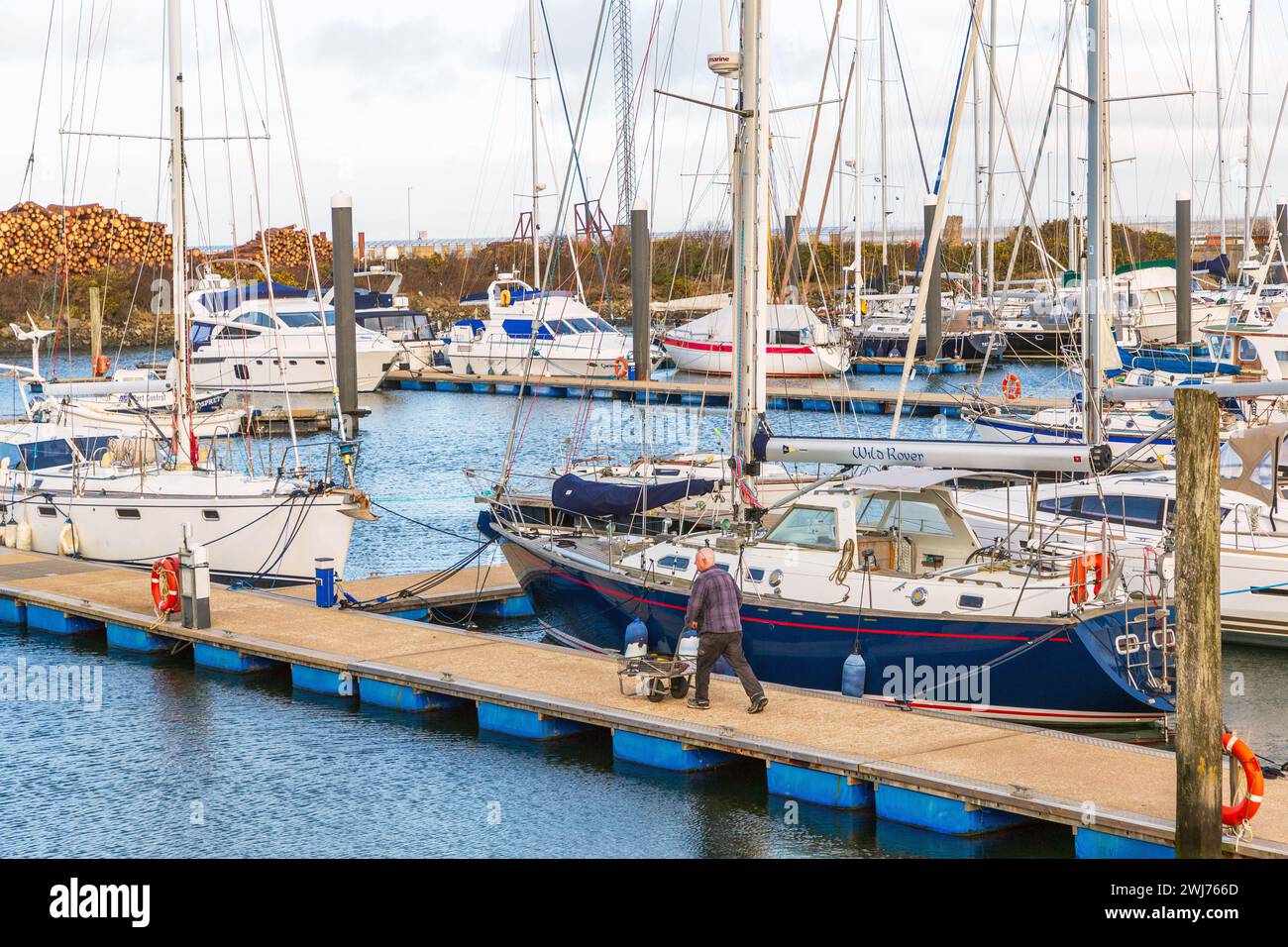 Vista general de la marina privada en el puerto de Troon, Ayrshire, Escocia, Reino Unido en el Firth de Clyde. Foto de stock