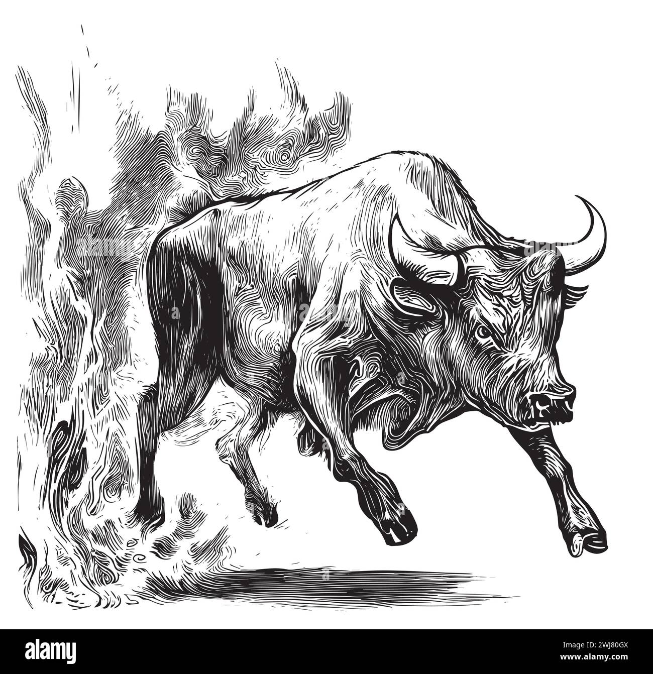 Toro enojado corriendo en fuego dibujado a mano dibujo ilustración vectorial. Ilustración del Vector