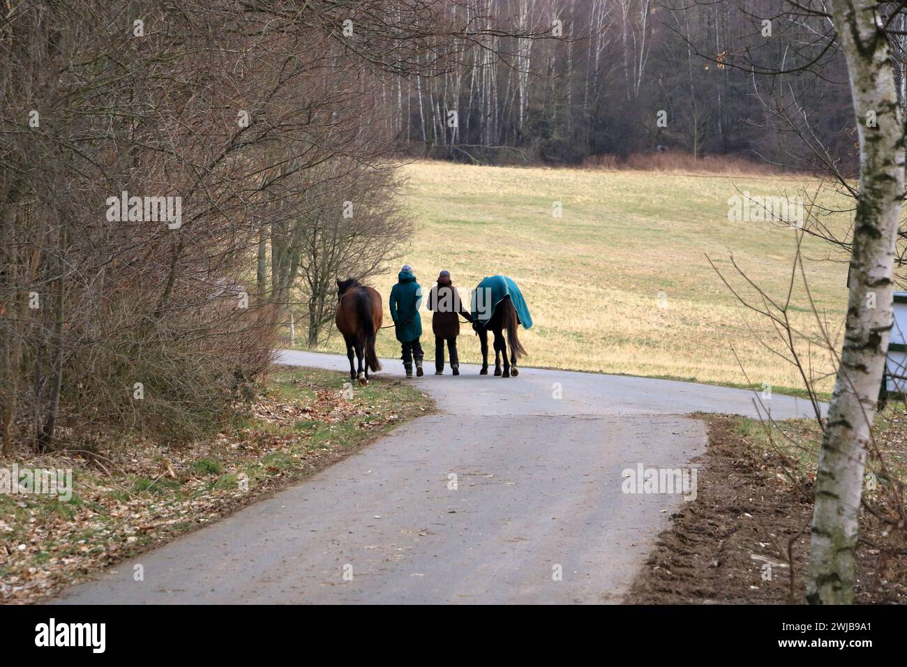 Un retrato de mujeres caminando mientras hablan con sus dos caballos Foto de stock