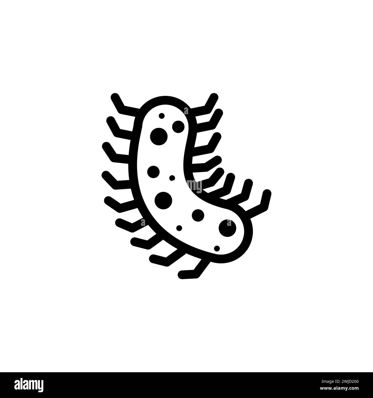 Paramecium Caudatum icono de vector plano. Símbolo sólido simple aislado sobre fondo blanco Ilustración del Vector