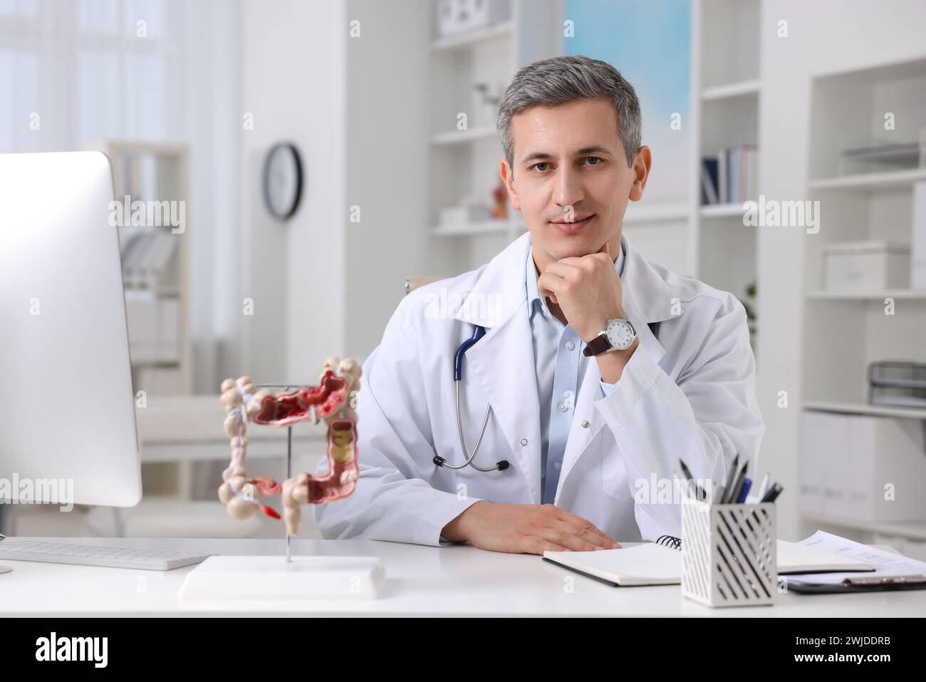 Gastroenterólogo con modelo anatómico de intestino grueso en mesa en clínica Foto de stock