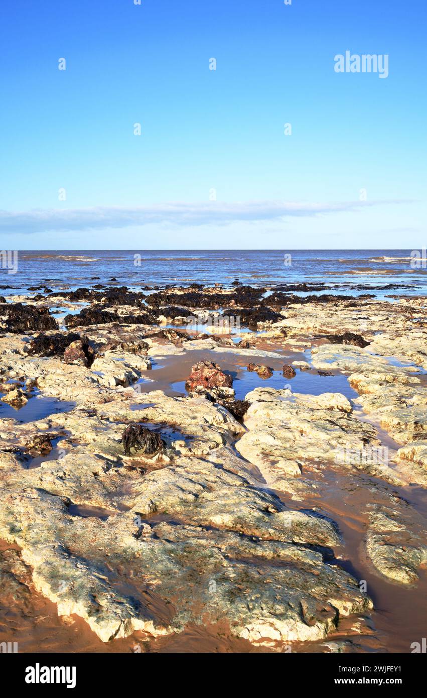 Un primer plano de una plataforma costera acorazada de tiza y flints del Cretácico superior se reveló en una baja marea primaveral en West Runton, Norfolk, Inglaterra, Reino Unido. Foto de stock