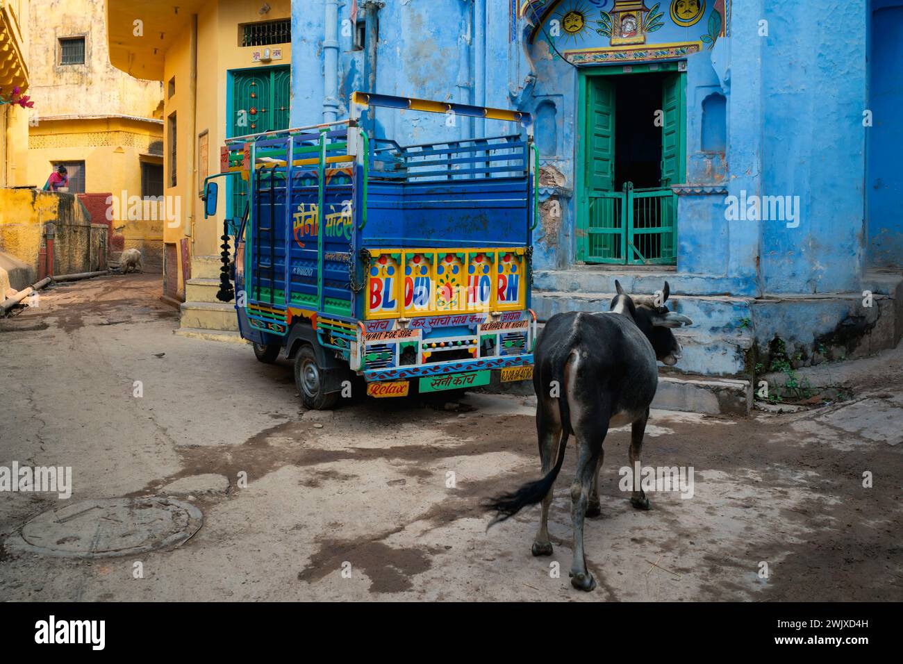 Pantalla de calle urbana tranquila con la vaca esperando comida, camión pequeño, y la mujer que alimenta al cerdo, en la calle colorida en Bundi, India. Foto de stock