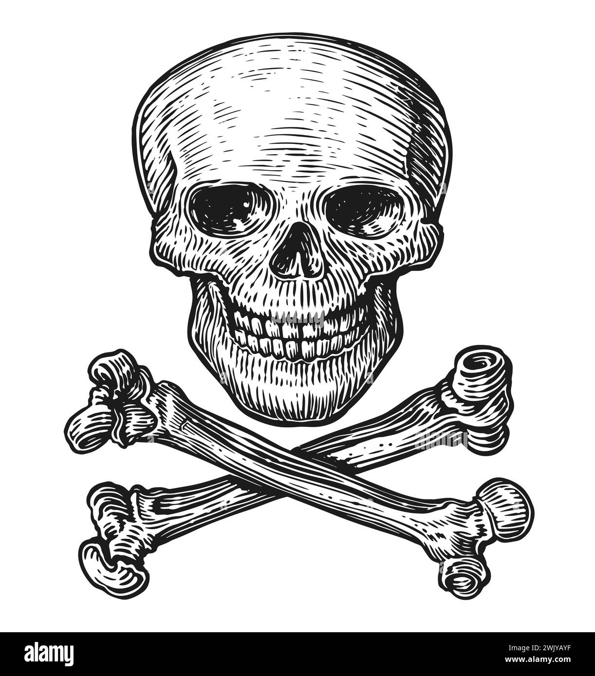 Jolly Roger. Cráneo humano dibujado a mano con crucigramas en estilo de grabado vintage. Bosquejo ilustración vectorial Ilustración del Vector