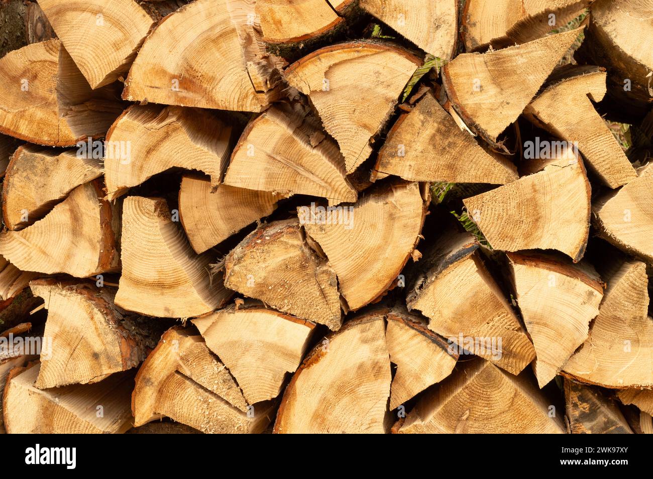 Pila de madera. Troncos de madera recién cortados apilados en el bosque. Leña, daño ambiental, temas ecológicos, deforestación, energía alternativa, lubbe Foto de stock