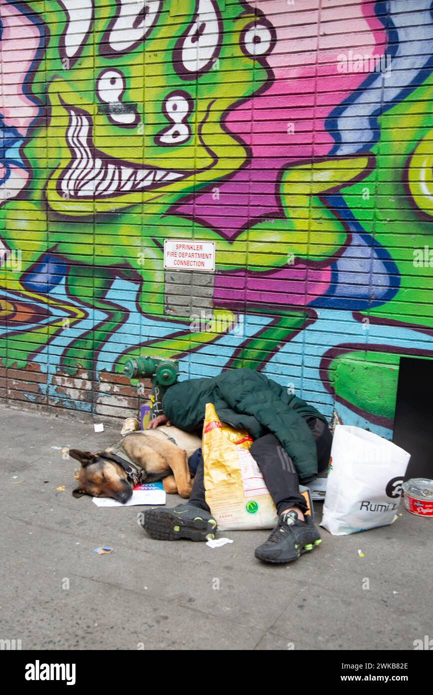 Hombre y su perro duermen en la acera justo al lado de Canal Street en el barrio Chinatown de Manhattan, Nueva York. Foto de stock
