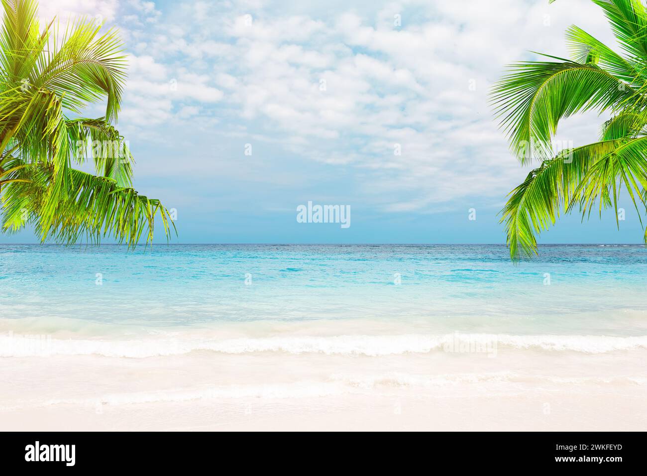 Hermosa playa de arena blanca con agua turquesa, palmeras de coco y cielo azul con nubes en Punta Cana, República Dominicana. Foto de stock