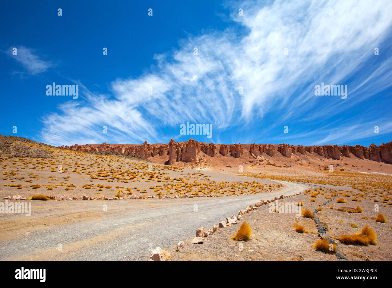 El Salar El paisaje salar de Tara, Atacama, Chile. Foto de stock