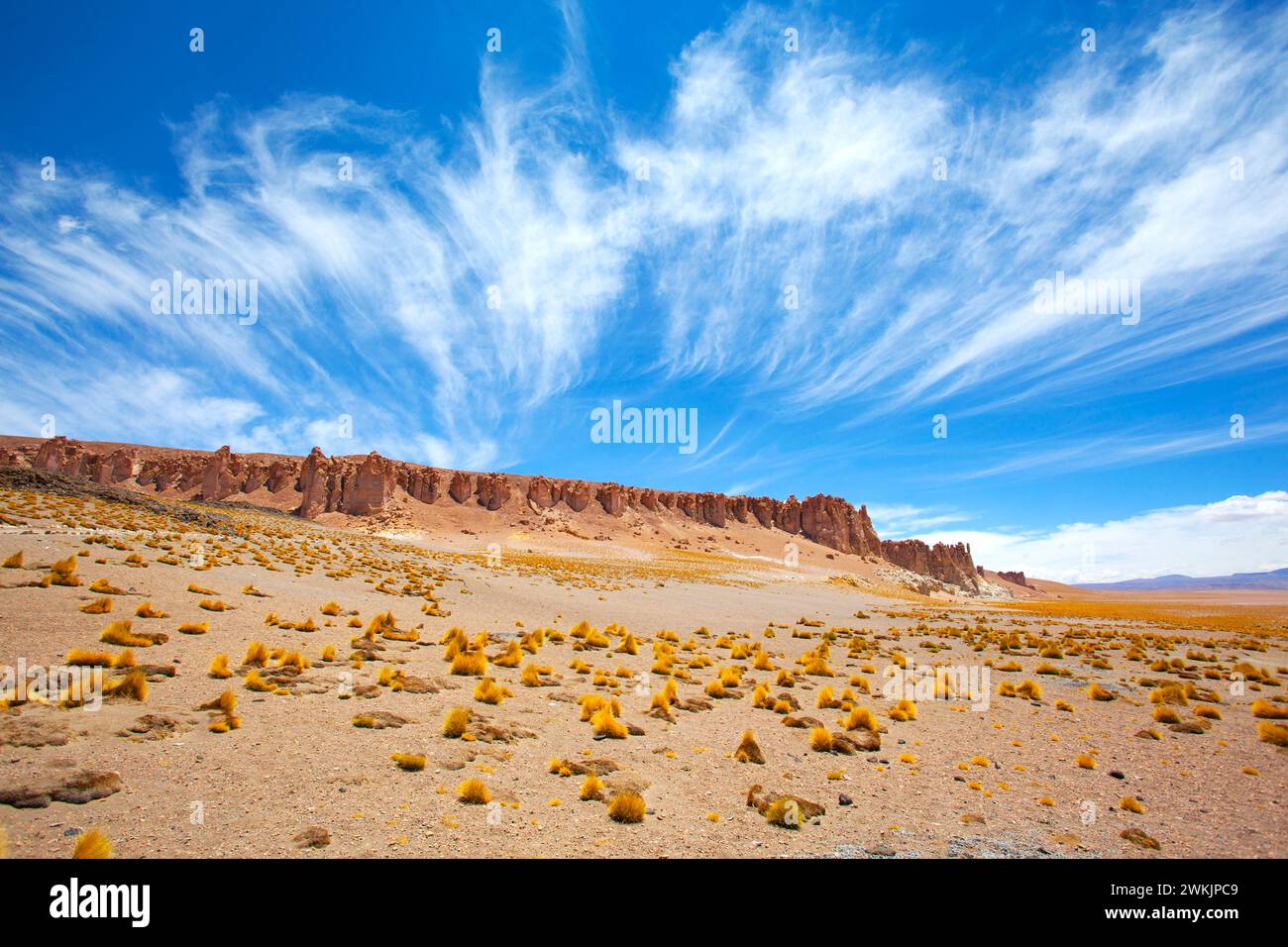 El Salar El paisaje salar de Tara, Atacama, Chile. Foto de stock
