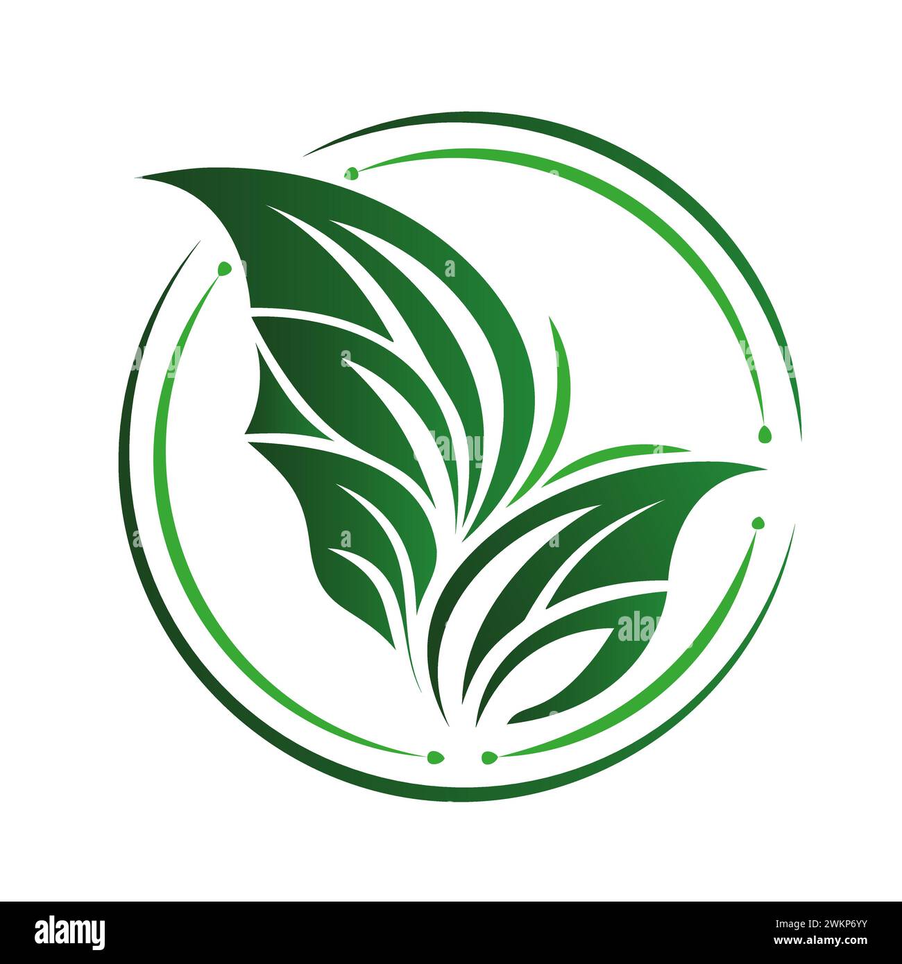 Un logotipo de hoja verde simple y estilizado que representa la naturaleza, el crecimiento y la sostenibilidad. Ilustración del Vector