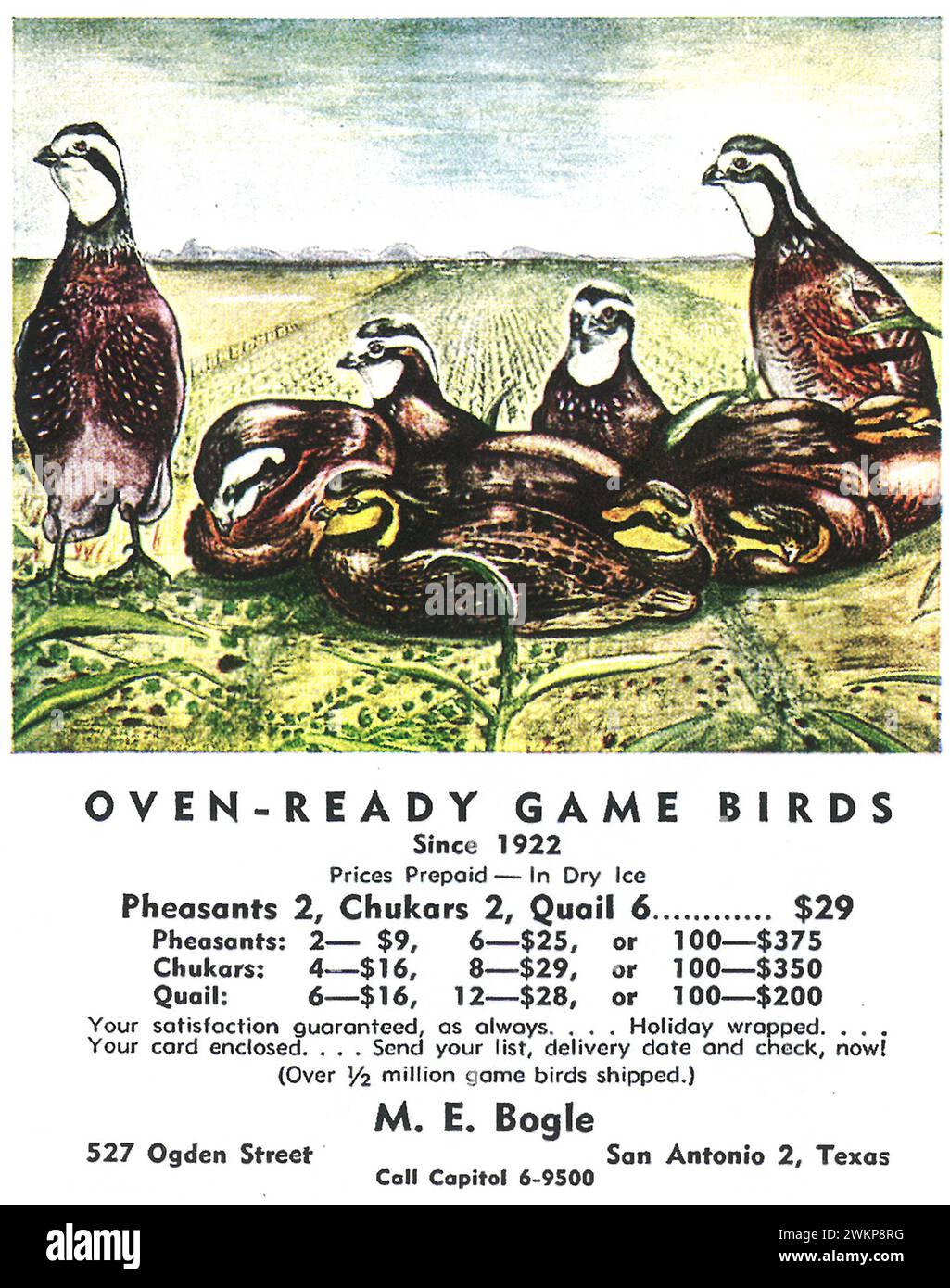 1955 M.E. Bogle Anuncio impreso. Aves de caza listas para horno Foto de stock