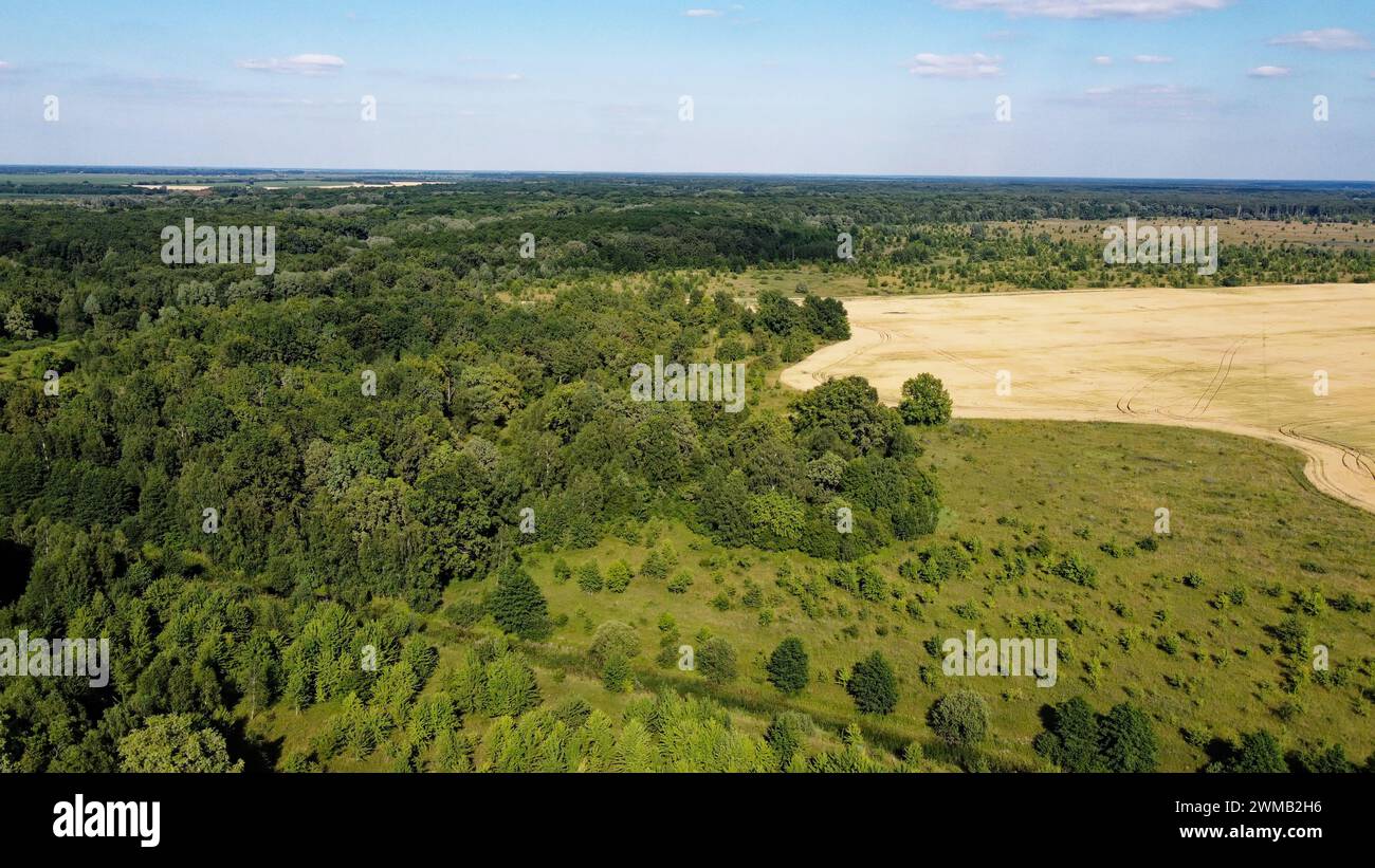 Bosque verde caducifolio junto a un campo de granja. Paisaje desde una vista de pájaro. Clima soleado. Foto de stock