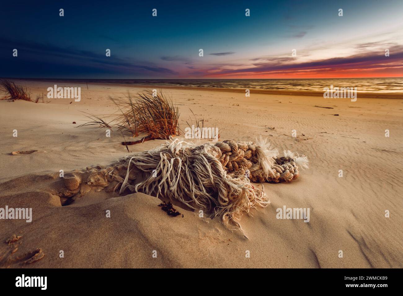 Primer plano de un pedazo de cuerda lavado en una playa por Curonian Spit, Lituania Foto de stock