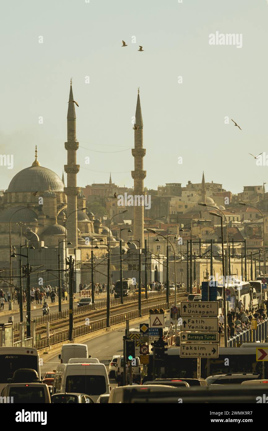 Mezquita de Yeni Cami y puente de Galata visto desde Beyoglu, Estambul, Turquía © Dosfotos/Axiom Foto de stock