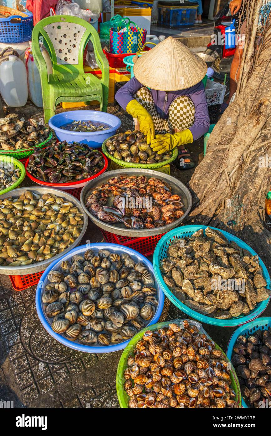 Vietnam, Delta del Mekong, provincia de Kien Giang, Ha Tien, mercado de pescado y mariscos Foto de stock