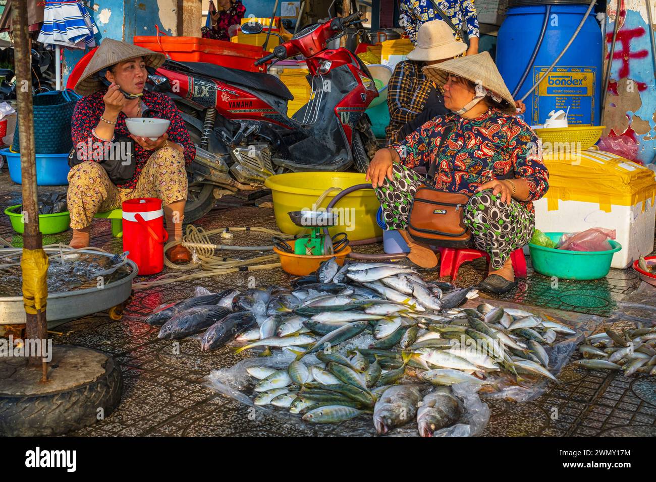 Vietnam, Delta del Mekong, provincia de Kien Giang, Ha Tien, mercado de pescado y mariscos Foto de stock