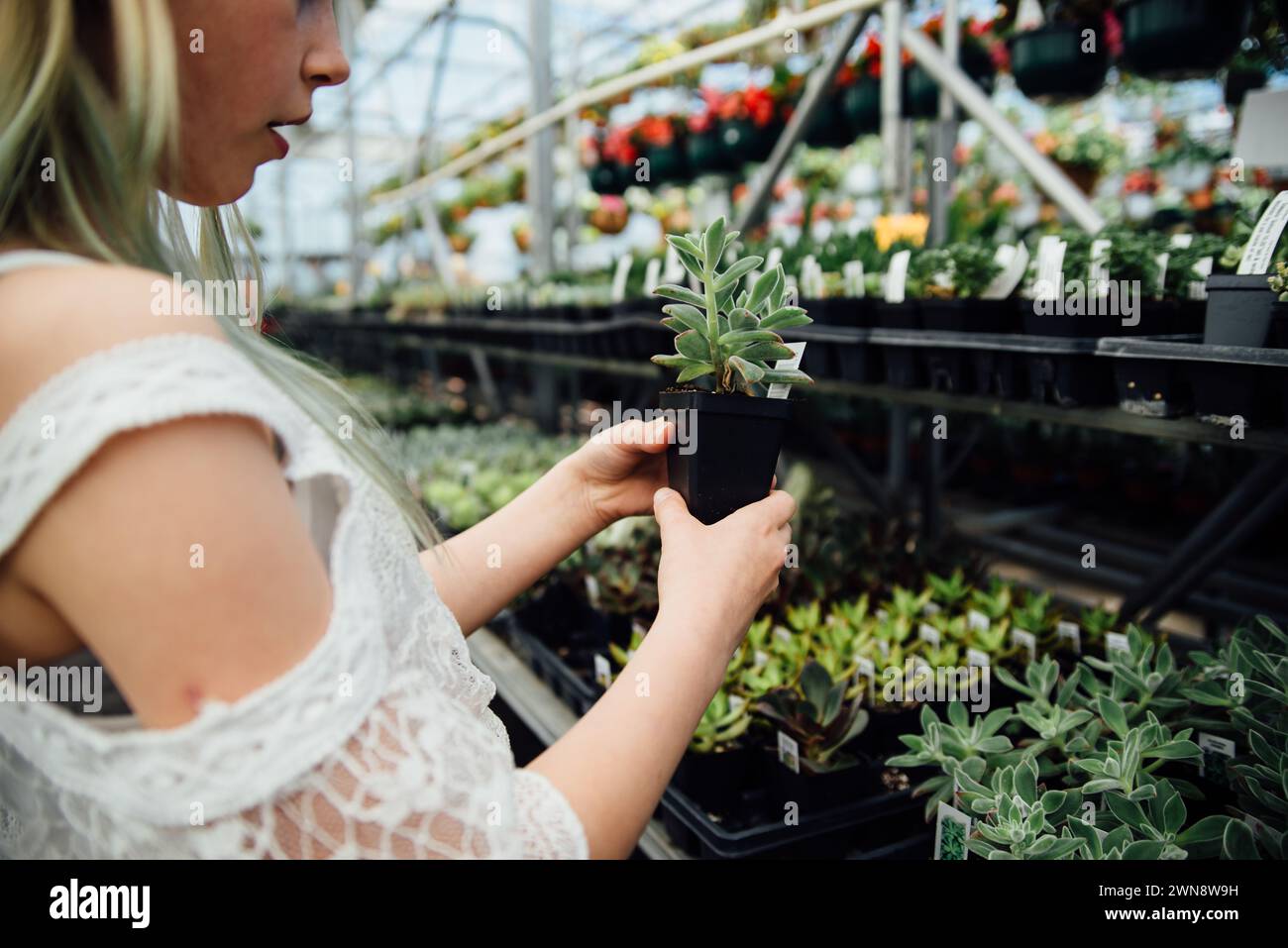 Vista lateral de la muchacha joven que compra para las plantas en el invernadero. Foto de stock