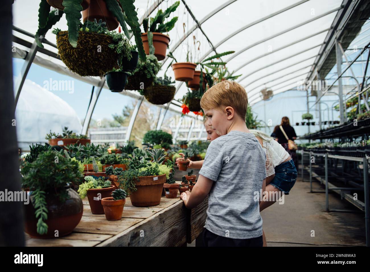 Vista lateral de niño y niña mirando plantas en invernadero. Foto de stock