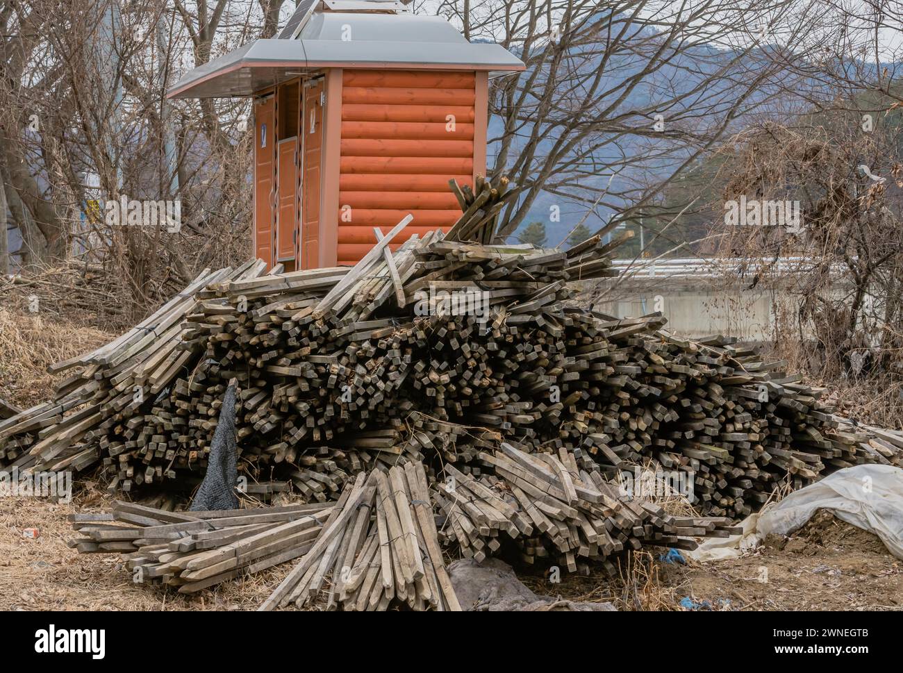 Pila de estacas de madera utilizadas en la agricultura de ginseng apiladas junto al baño público de madera roja en el área silvestre en el frío día de invierno en Corea del Sur Foto de stock
