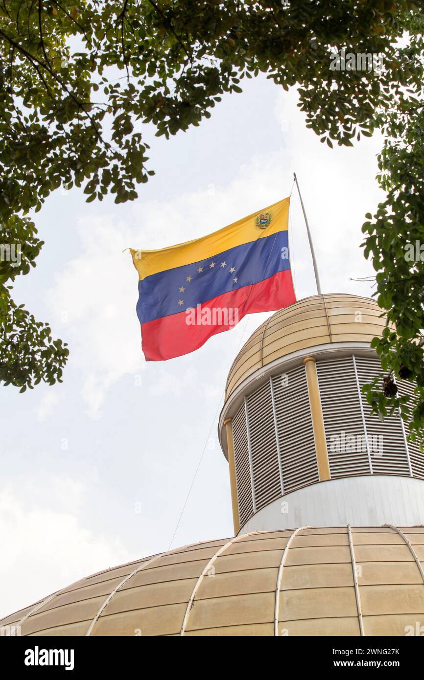 Bandera de Venezuela ondeando en el viento Foto de stock