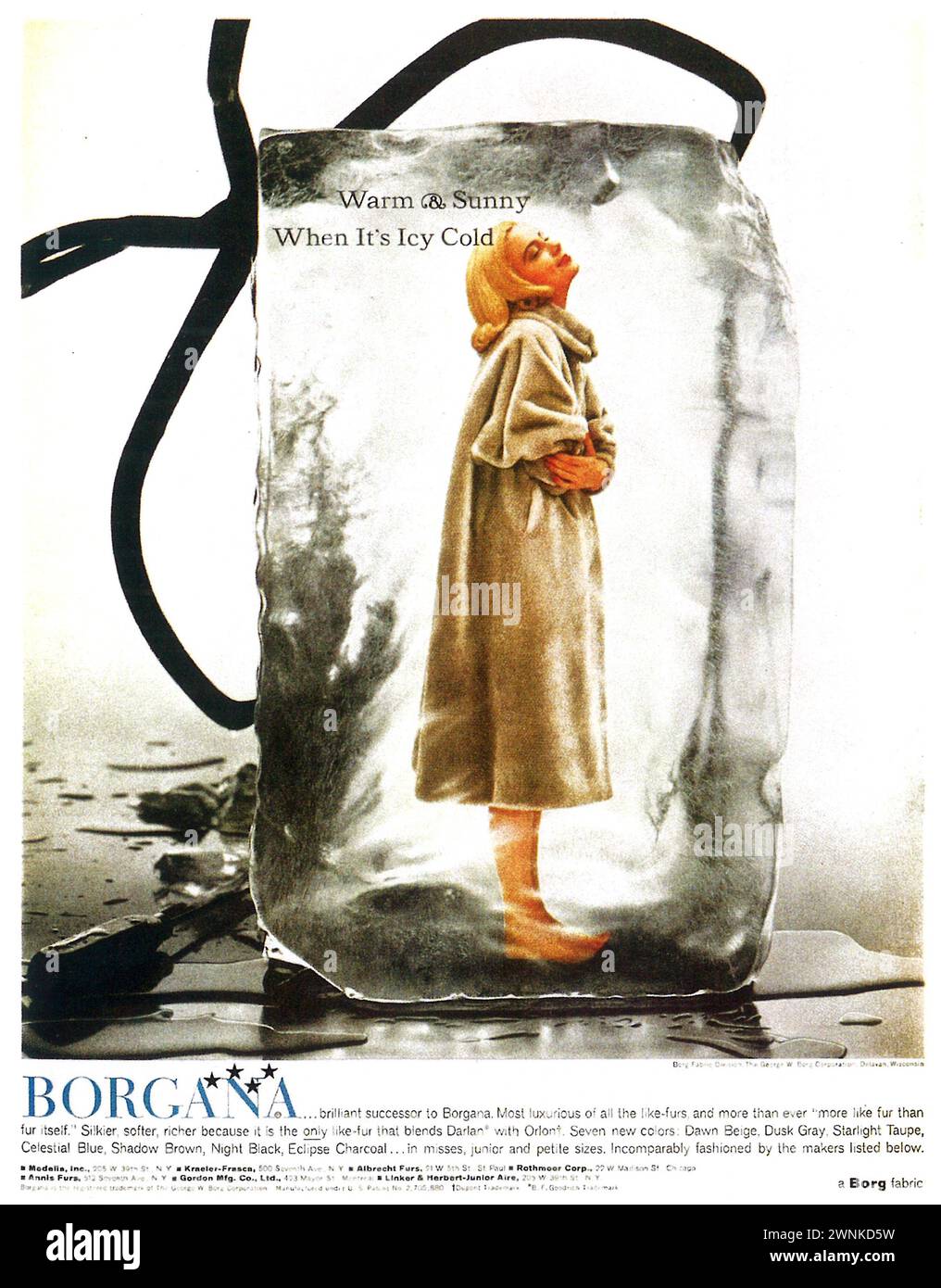 1951 Borgana Fur Coats Ad. Foto de stock