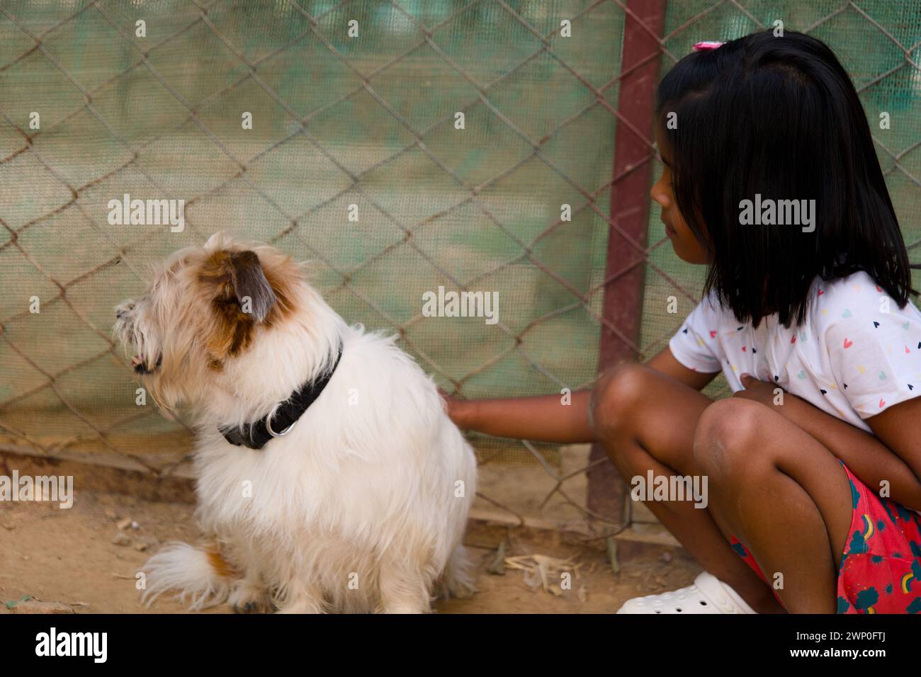 Una joven asiática se arrodilla en una perrera bañada por el sol en un refugio de animales rurales, conectándose con un perro amigable Foto de stock