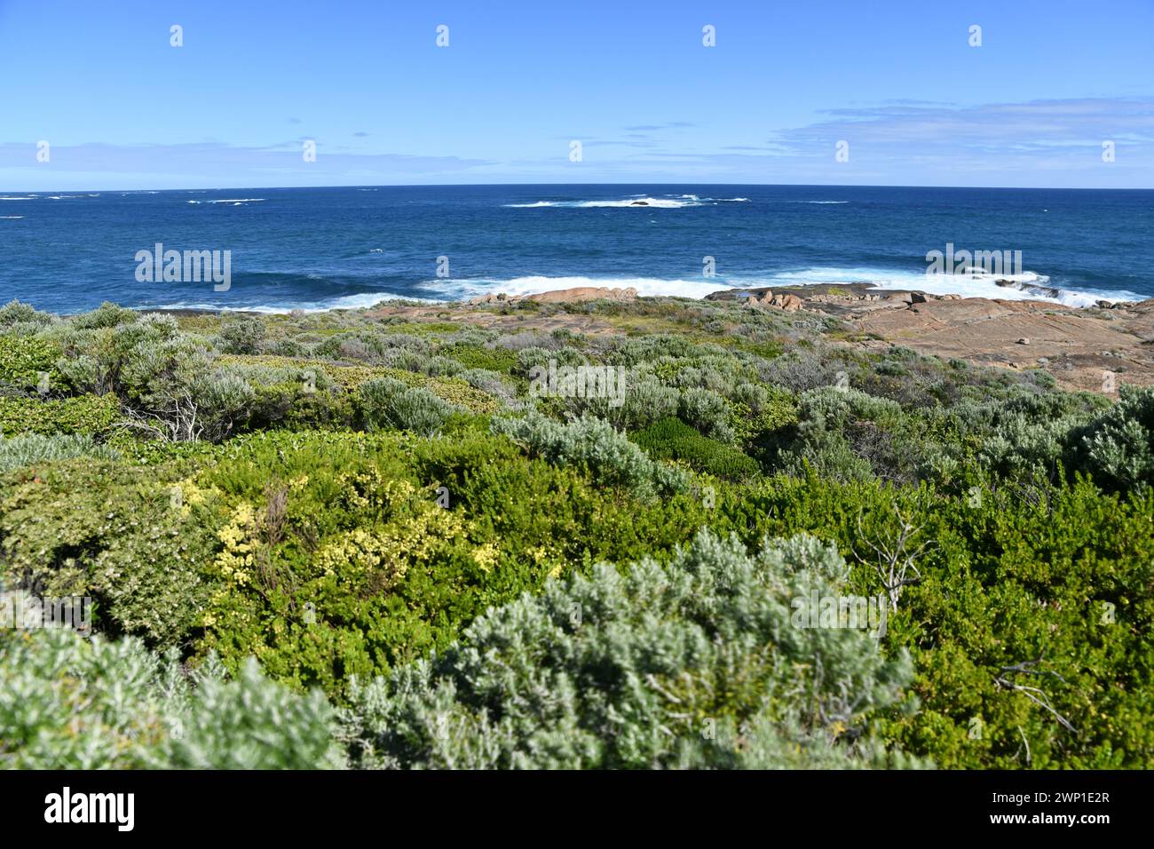 Vegetación fynbos en Cape Leeuwin, WA Foto de stock