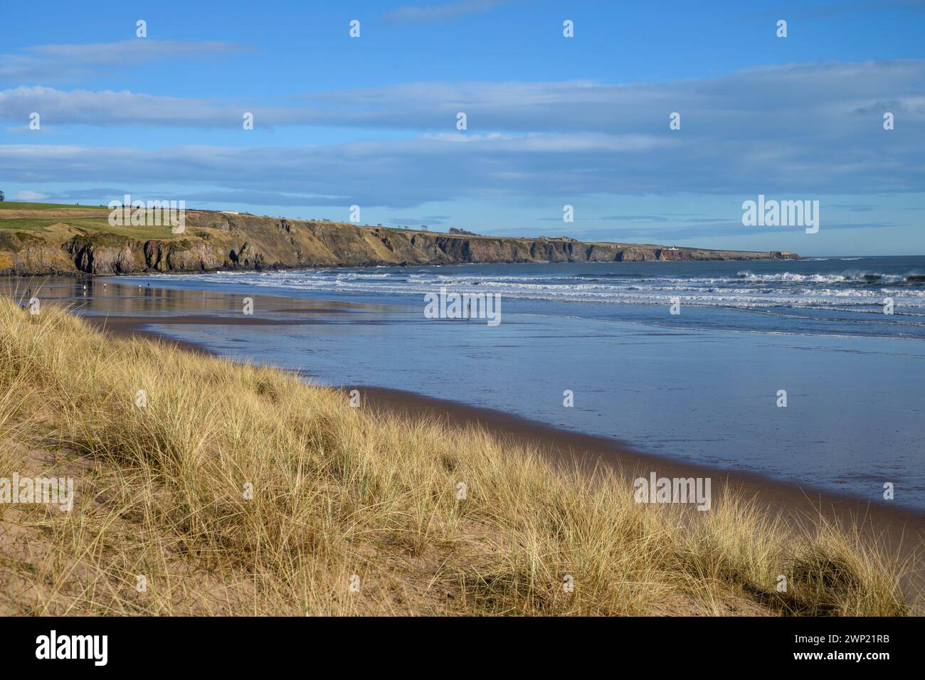 Lunan Bay, Angus, Escocia, Reino Unido Foto de stock