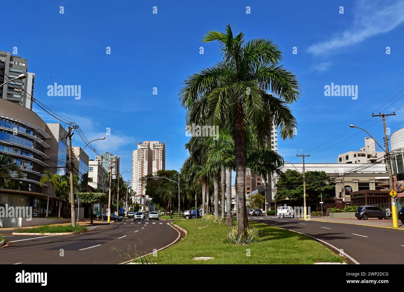 RIBEIRAO PRETO, SAO PAULO, BRASIL - 26 de diciembre de 2023: Calle en el barrio Jardim Botanico Foto de stock
