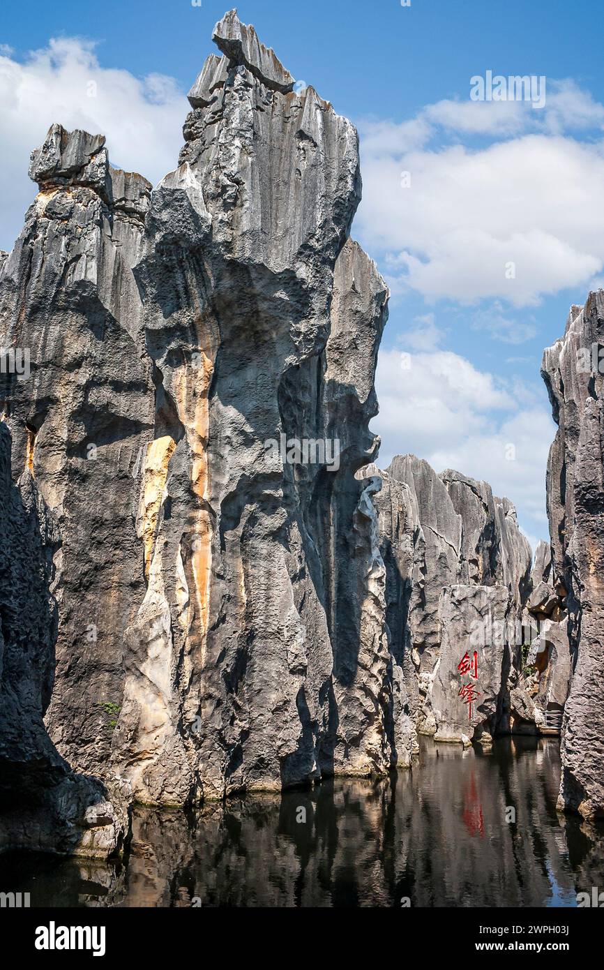 Dramáticas formaciones geológicas de piedra caliza kárstica que se elevan desde el lago en el parque geográfico nacional del Bosque de Piedra, Yunnan, China Foto de stock