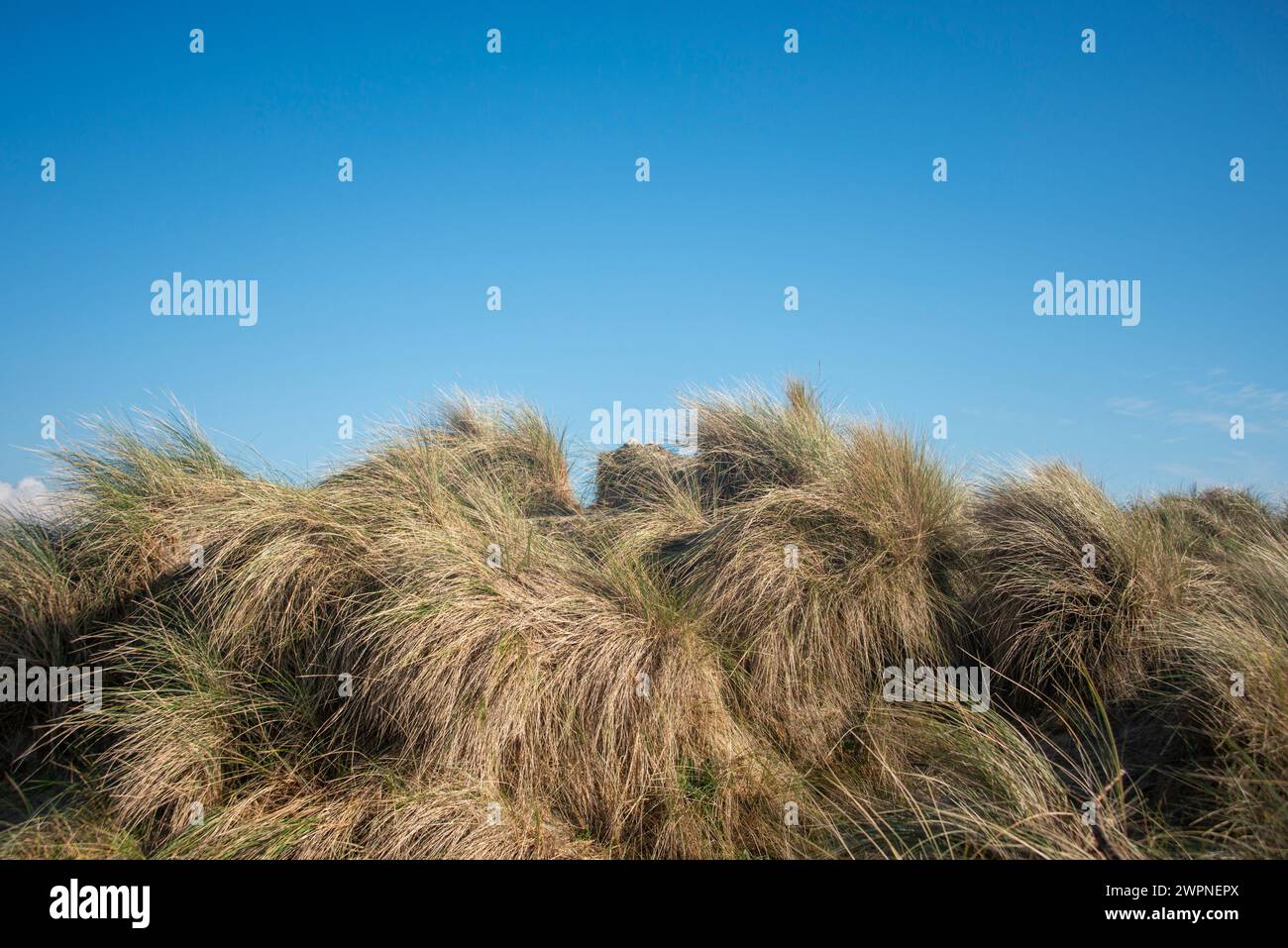 montículo de hierba con cielo azul Foto de stock