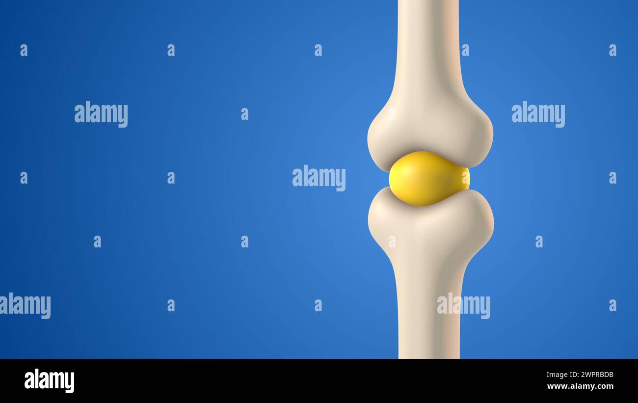 Cavidad articular ósea humana con líquido sinovial Foto de stock