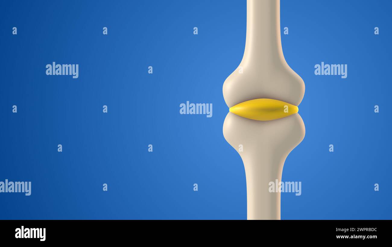 Cavidad articular ósea humana con líquido sinovial Foto de stock