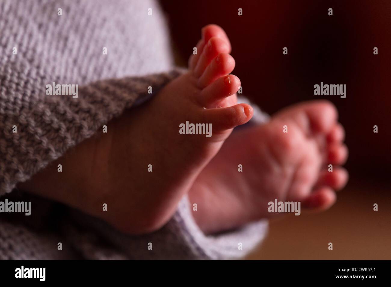 Foto de archivo fechada el 23/01/16 de los pies de un nuevo bebé envuelto en una manta. Los padres están poniendo a sus bebés en un mayor riesgo de asfixia o síndrome de muerte súbita del lactante (SMSL, por sus siglas en inglés) al permitirles dormir en bouncers o columpios, advirtió una organización benéfica. Una encuesta de 1.000 padres de bebés menores de un año realizada por The Lullaby Trust encontró que el 70% permitió que su bebé durmiera en una gaviota, el 67% en un columpio y el 61% en una bolsa de beanbag. Fecha de emisión: Lunes 11 de marzo de 2024. Foto de stock
