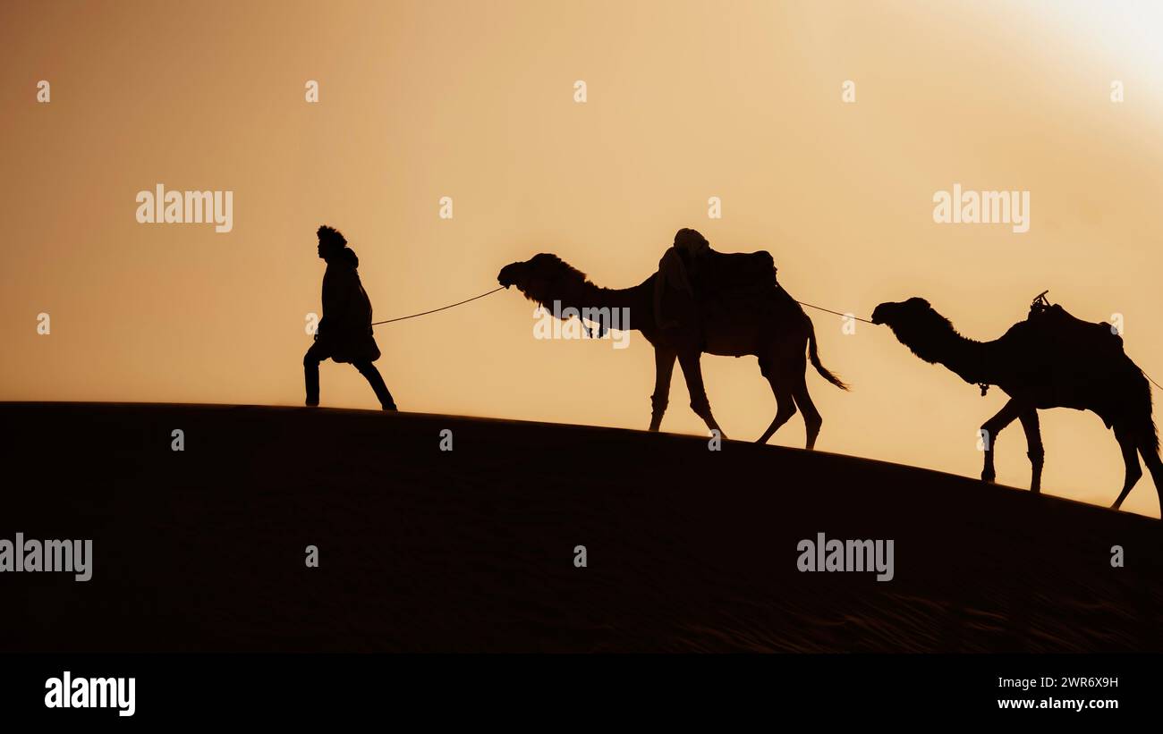 Beduinos y camellos, Duna del Deserto di Merzouga, Sahara en Marocco Foto de stock