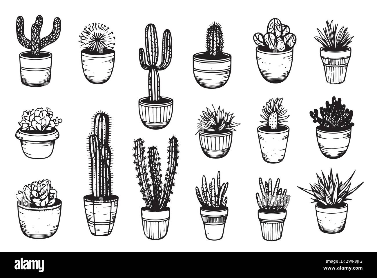 Conjunto de plantas de cactus en macetas dibujado a mano ilustración vectorial de doodle, clipart de cactus aislado Ilustración del Vector
