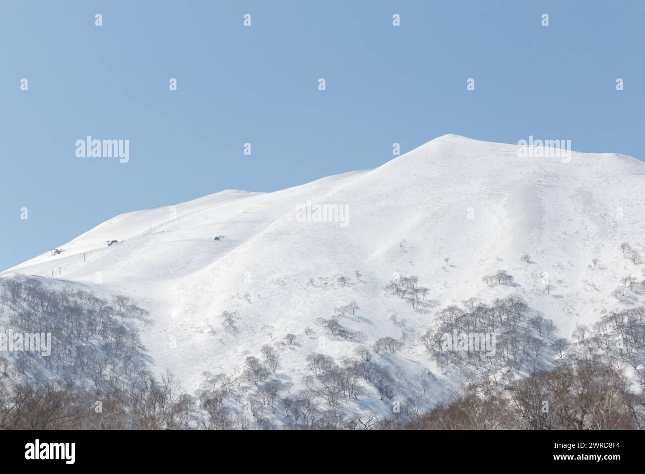 Mt. Paisaje de invierno de la cordillera de nieve de Annupuri, Niseko, Hokkaido Foto de stock