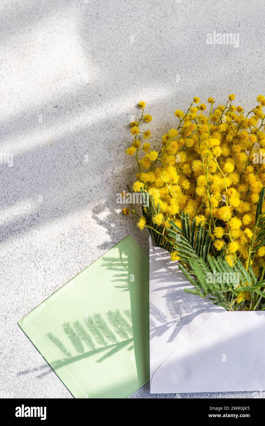 Vista aérea de un montón de flores de mimosa amarilla que sobresalen de un sobre con una tarjeta en blanco Foto de stock