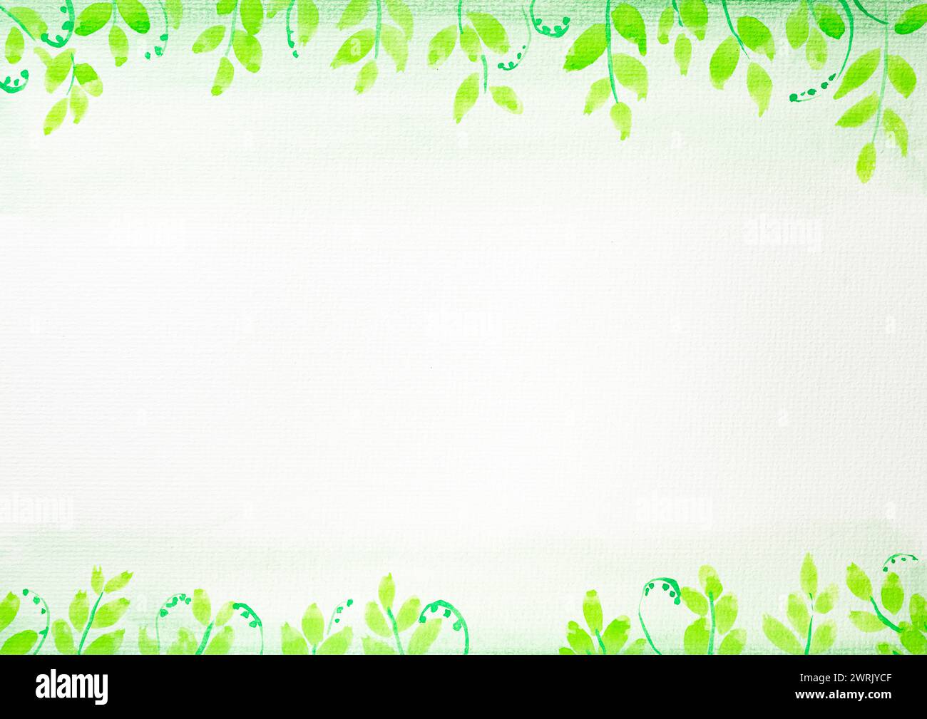 Patrón sin fisuras de plantas verdes en un lienzo blanco. Fondo de acuarela Foto de stock