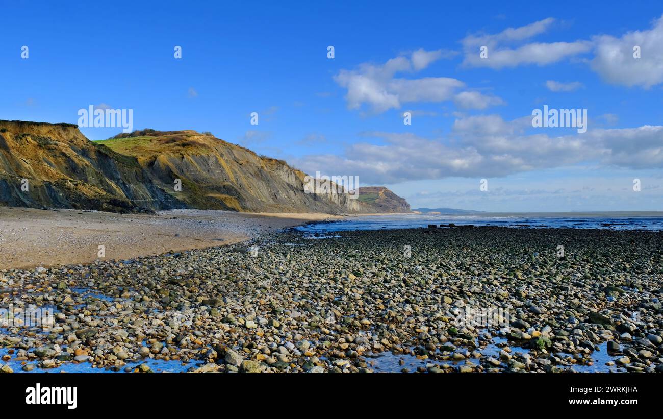 La playa y los acantilados en Charmouth. Este sitio de patrimonio mundial de la UNESCO también conocido como los acantilados ricos en fósiles en Jurassic Coast, Dorset, Reino Unido - John Gollop Foto de stock