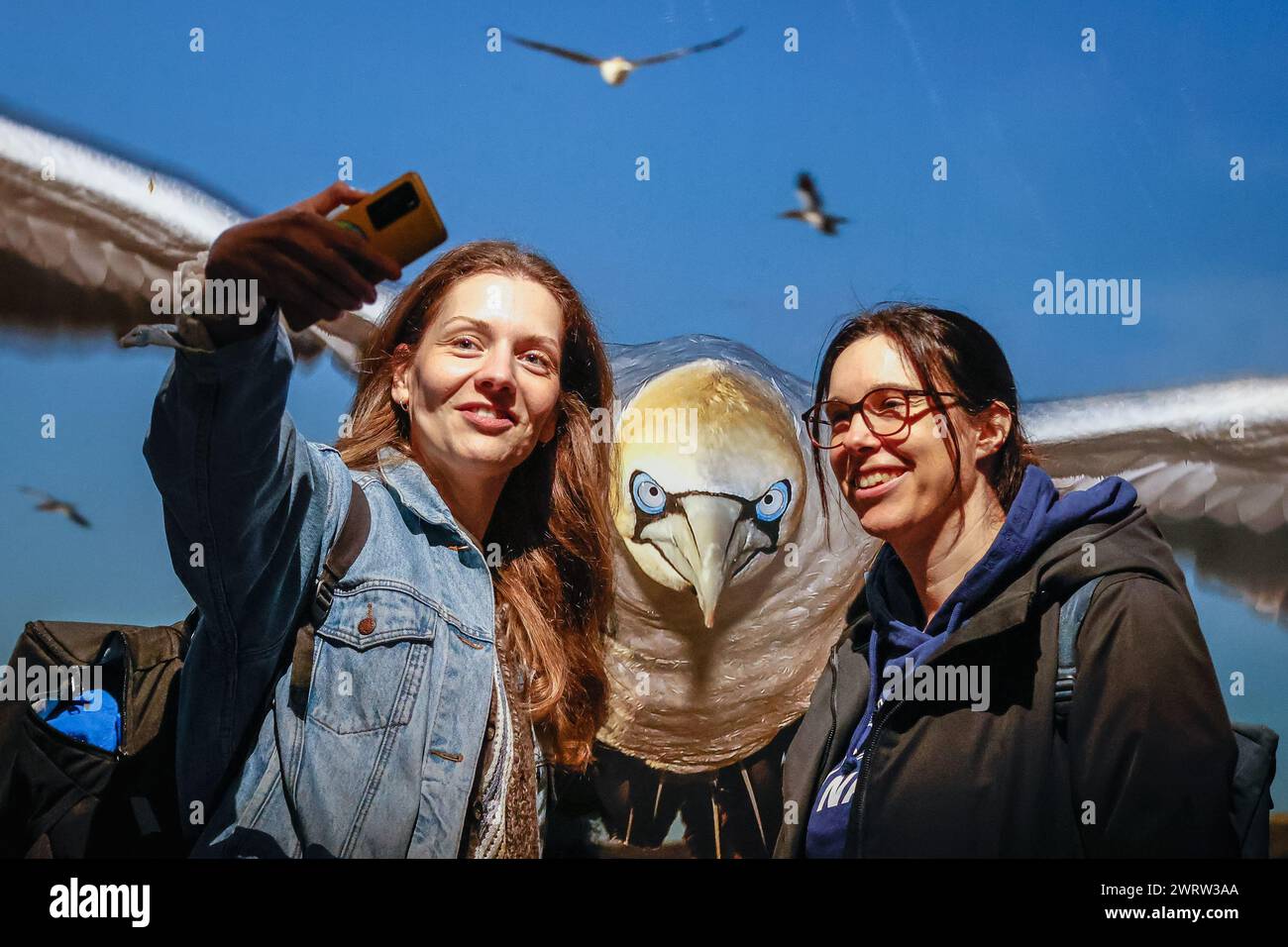 Oberhausen, Alemania. 14 de marzo de 2024. Dos visitantes (se pide permiso para fotografiar) se toman selfies con el impresionante 'Im Landeanflug' de Thomas P. Peschak mostrando un pájaro morus capensis a punto de aterrizar. 'Planet Ozean' (Planet Ocean) estará en exhibición desde el 15 de marzo hasta finales de diciembre de 2024 en este popular lugar de exposición. La exposición ilustra la belleza del mundo oceánico, así como sus desafíos ambientales. Abarca alrededor de 160 fotos a gran escala, videos, sonido, así como otras exposiciones del mundo oceánico y natural, incluyendo la pantalla A de 40 metros de altura Foto de stock