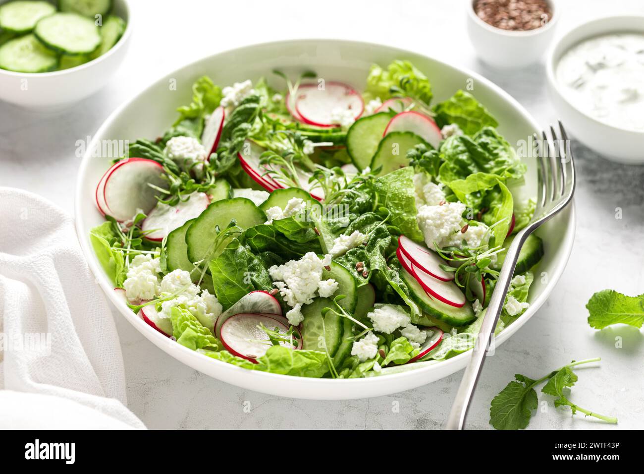 Ensalada fresca de verduras de hoja verde de rábano y pepino con lechuga romana, queso cottage y yogur Foto de stock