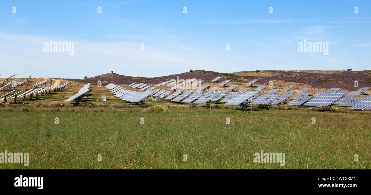 Una gran central de energía solar ubicada en un campo verde con fondo de cielo azul. Espacio para copia. Foto de stock