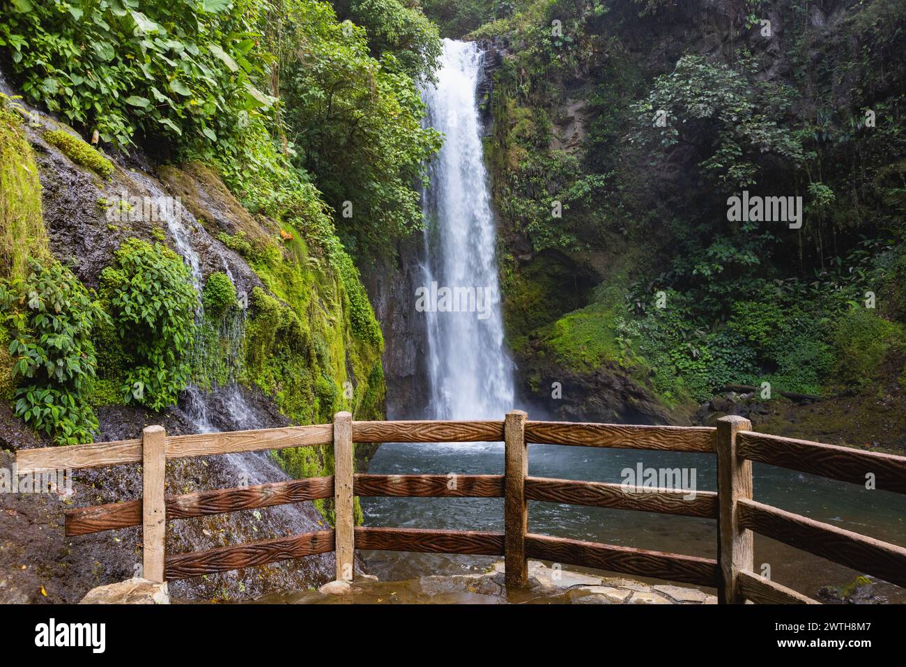 Cascada en el Parque Natural Jardines de la Cascada de La Paz, Alajuela, Ala Foto de stock