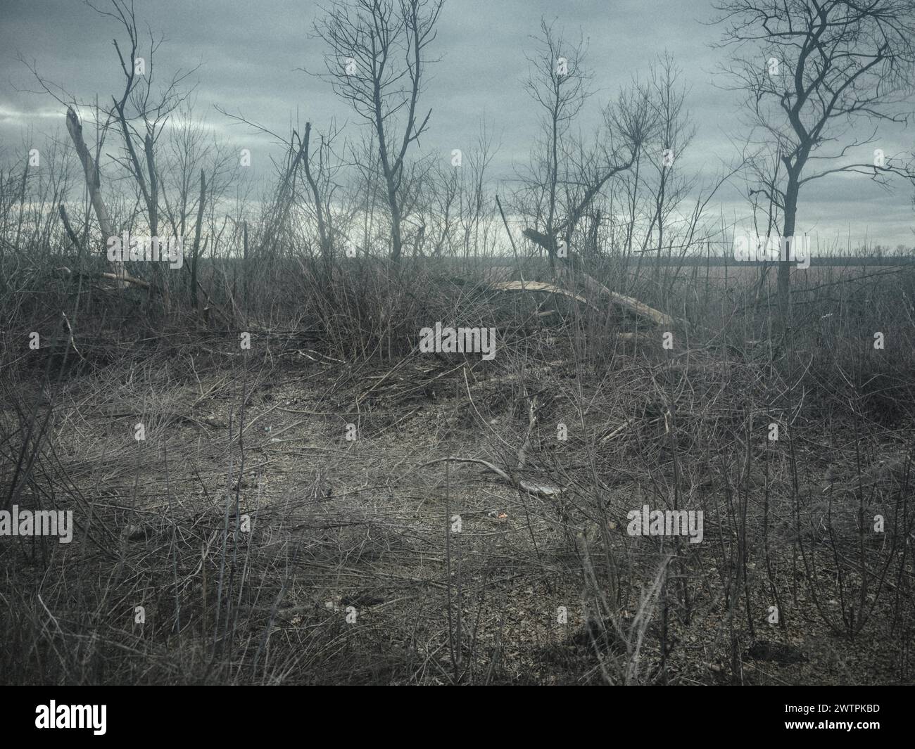 Paisaje en Voloska Balakliia. El pueblo está cerca de la línea del frente, el fuego de artillería se puede escuchar todos los días, Voloska Balakliia, la provincia de Jarkov, Ukra Foto de stock